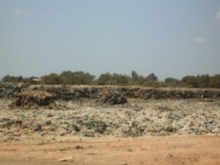 BASURERO 01  ECOLOGIA